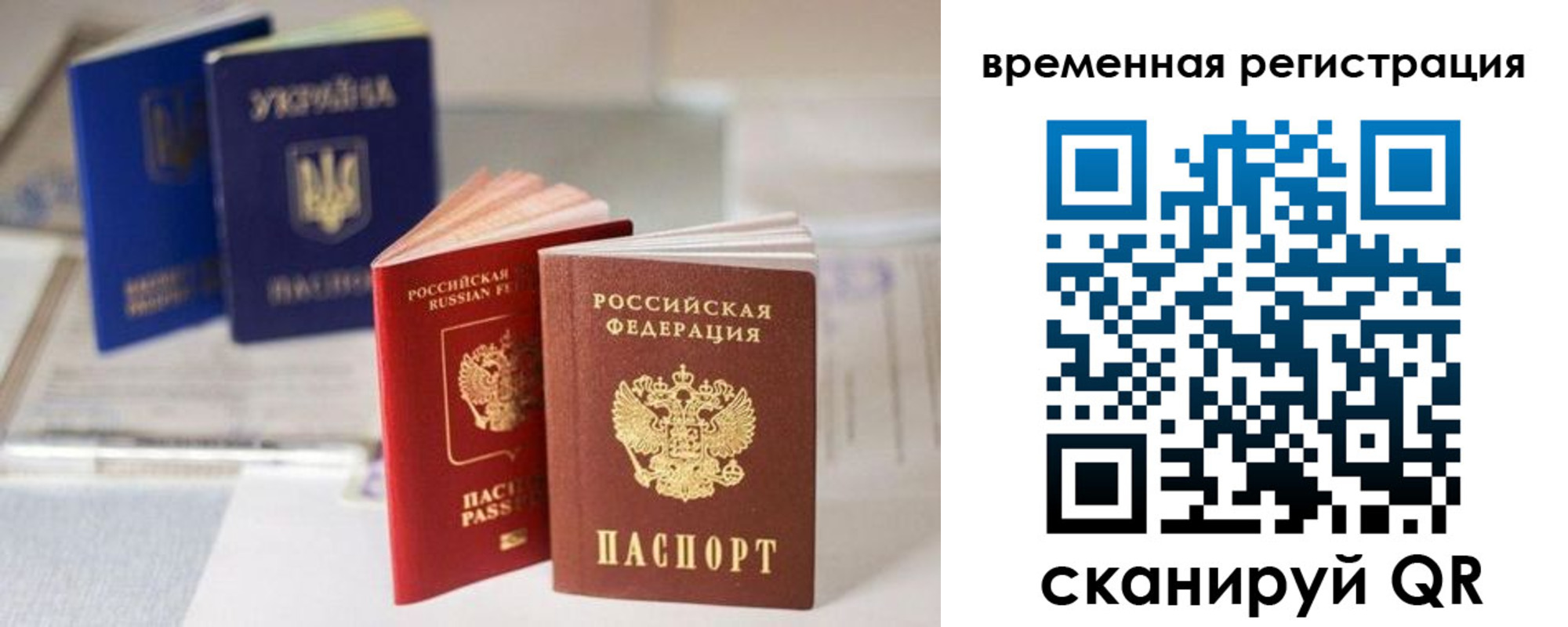 прописка поиск в Ельне